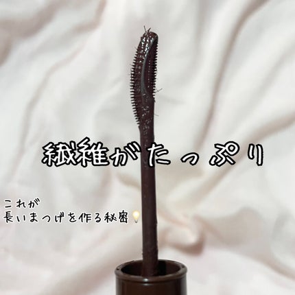 ラッシュエキスパンダー エッジマイスター F/MAJOLICA MAJORCA/マスカラを使ったクチコミ(2枚目)