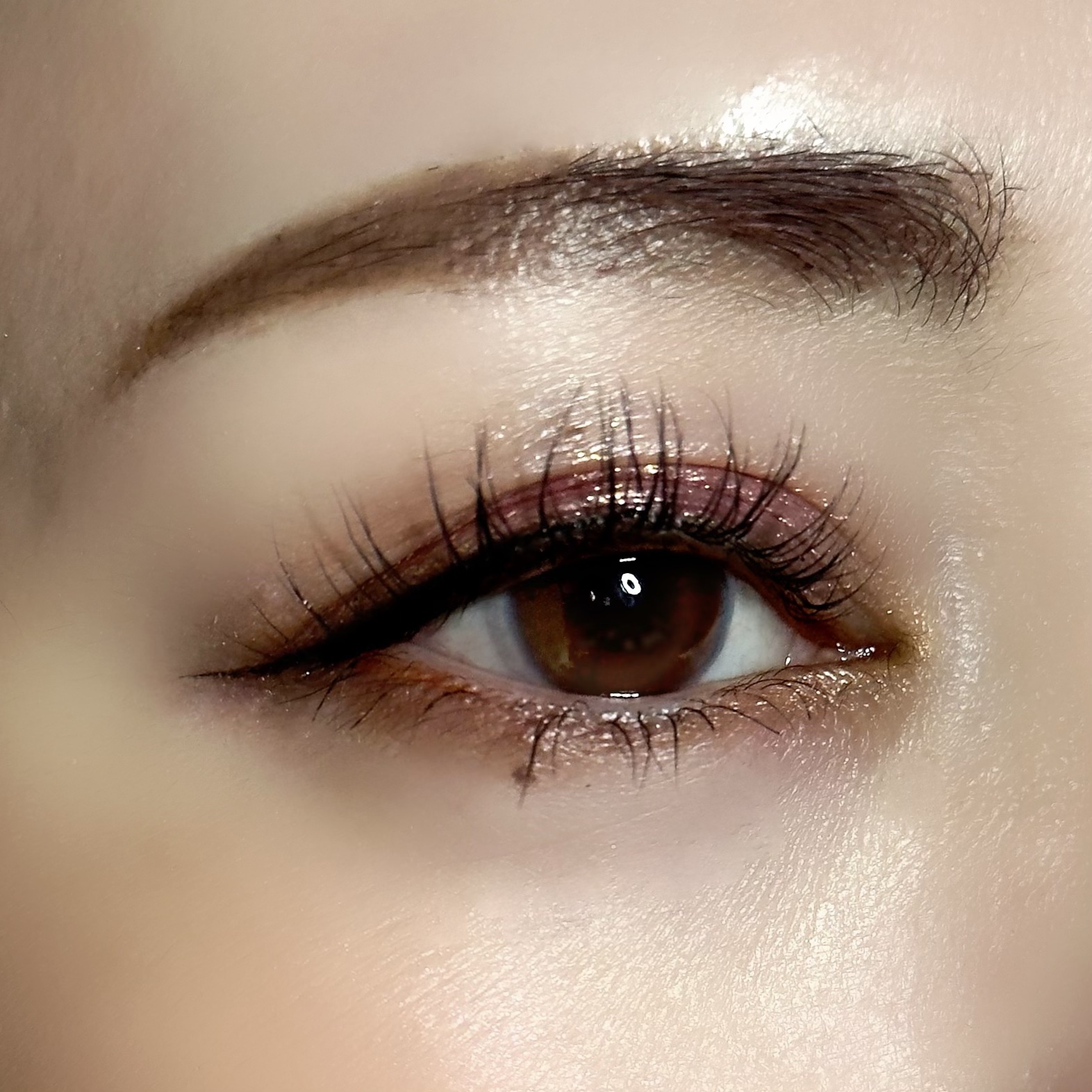 MOTHERSHIP PALETTES/PAT McGRATH LABS/アイシャドウパレットを使ったクチコミ（1枚目）