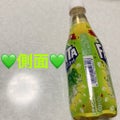 日本コカ・コーラ ファンタ　シャインマスカット