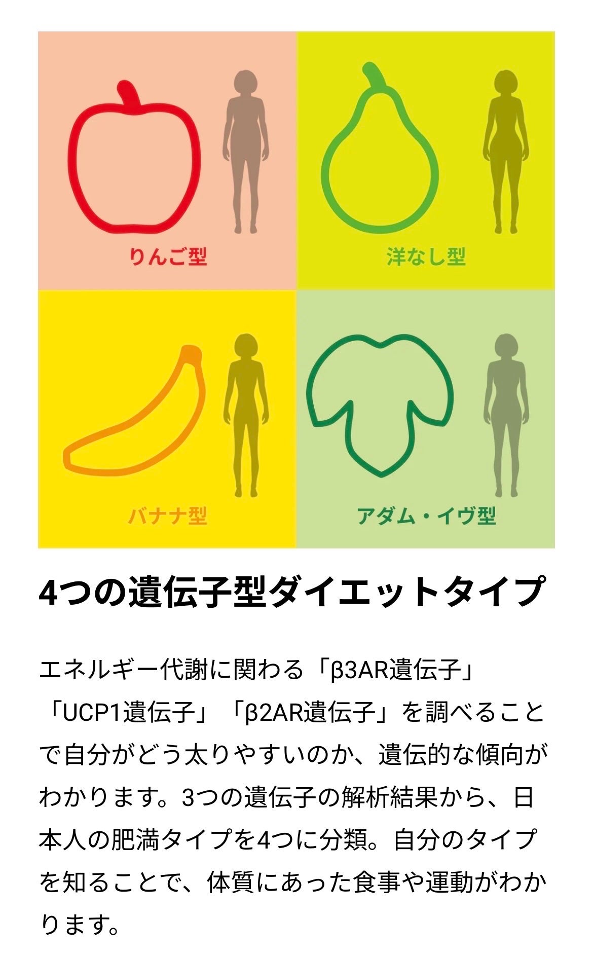 みん on LIPS 「✐☡⋆*自分に合ったダイエットの見つけ方と骨ストのダイエット⭐..」(3枚目)