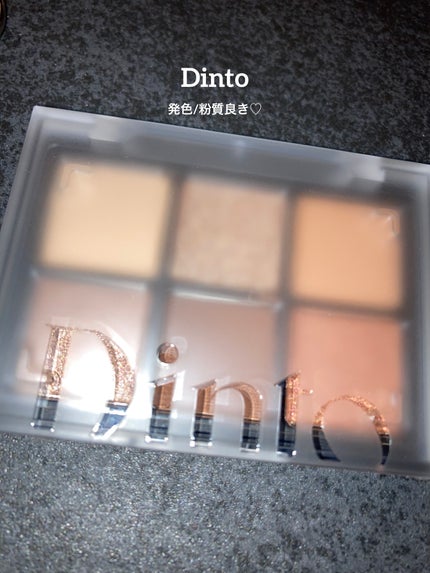 ブラーフィニシュシャドウパレット/Dinto/アイシャドウパレットを使ったクチコミ(1枚目)