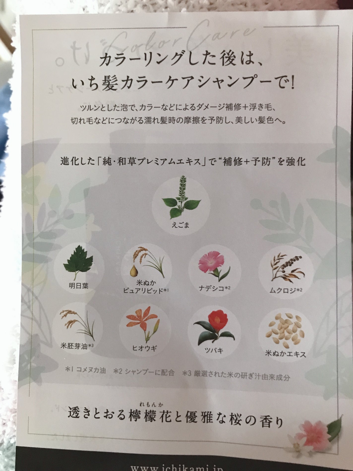 カラーケア&ベーストリートメント in シャンプー/コンディショナー/いち髪/市販シャンプーを使ったクチコミ(5枚目)