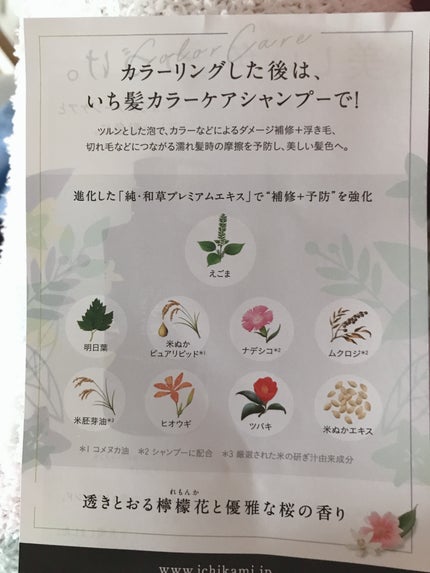 カラーケア&ベーストリートメント in シャンプー/コンディショナー/いち髪/市販シャンプーを使ったクチコミ(5枚目)