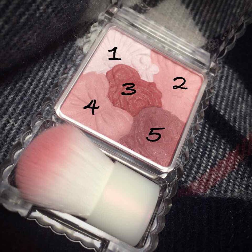 グロウフルールチークス/キャンメイク/パウダーチークを使ったクチコミ（1枚目）