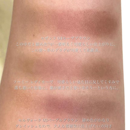 ノーズ&アイブロウパウダー/CEZANNE/パウダーアイブロウを使ったクチコミ(6枚目)