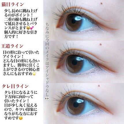 パワーフィットアイライナー/チャコット・コスメティクス/リキッドアイライナーを使ったクチコミ(3枚目)