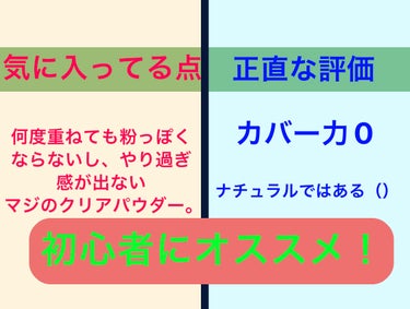 プライバシーUVパウダー50/プライバシー/ルースパウダーを使ったクチコミ（2枚目）