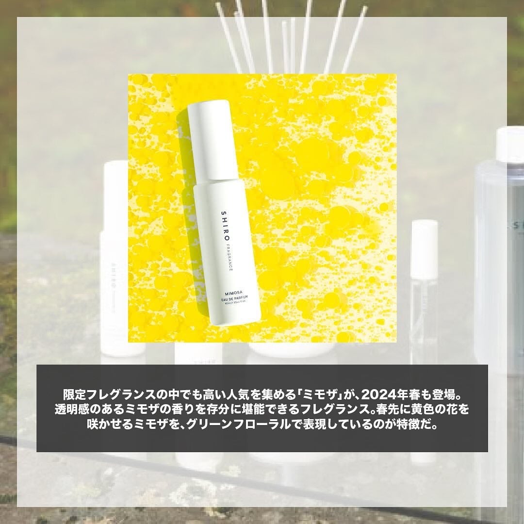 ミモザ オードパルファン/SHIRO/香水(レディース)を使ったクチコミ(2枚目)