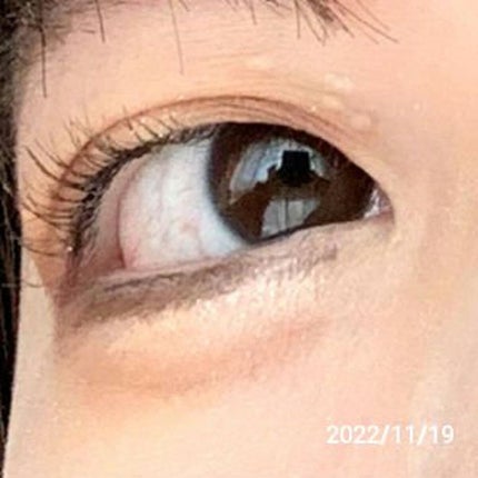 シャドウパレット/dasique/アイシャドウパレットを使ったクチコミ(3枚目)