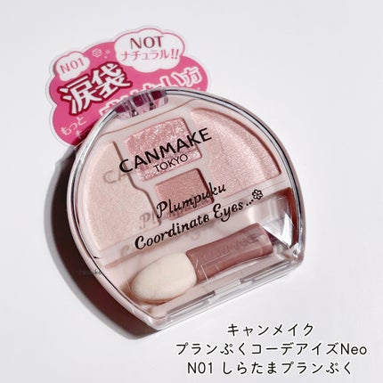 プランぷくコーデアイズNeo/キャンメイク/アイシャドウを使ったクチコミ(2枚目)