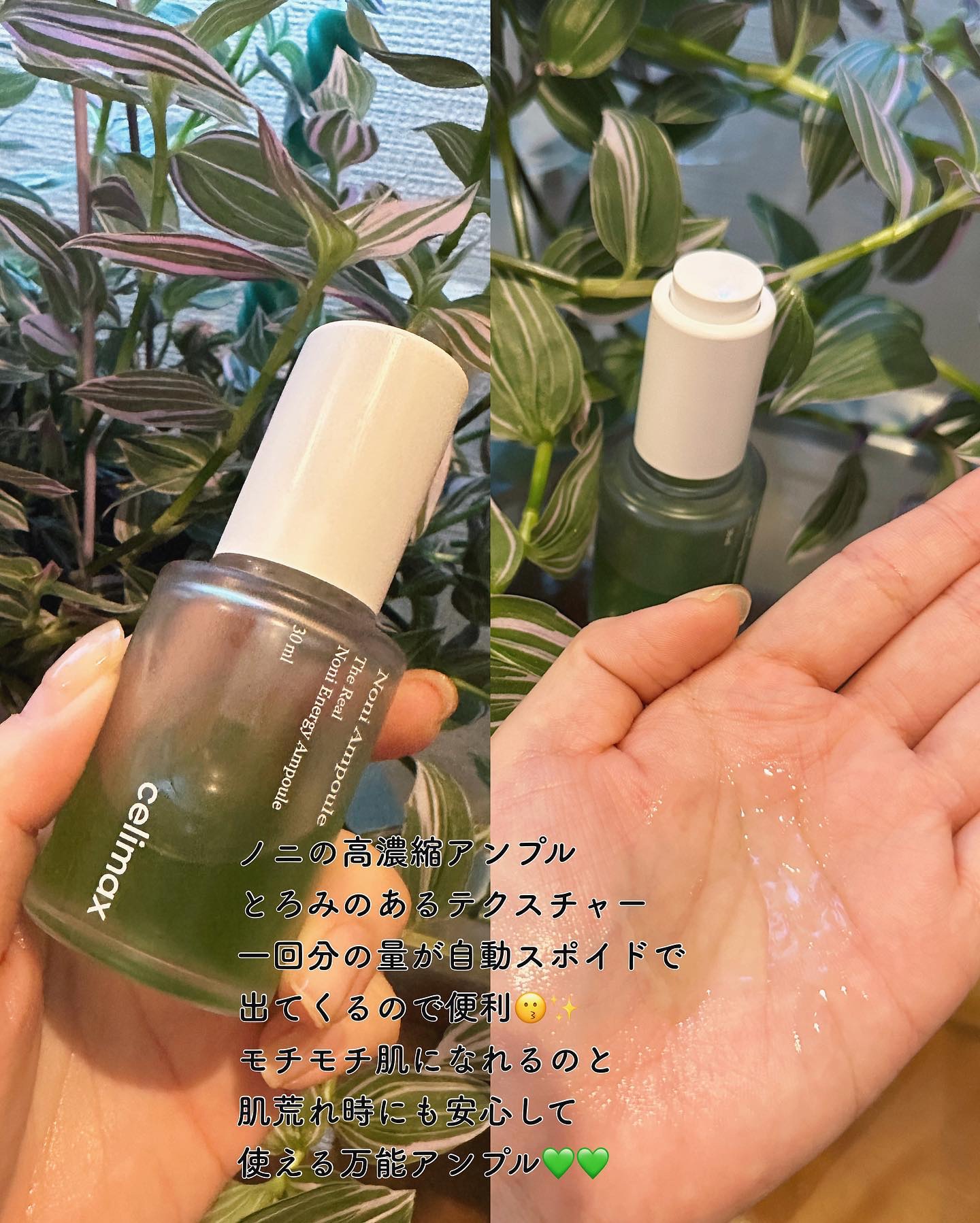 Noni Ampule/celimax/美容液を使ったクチコミ（3枚目）