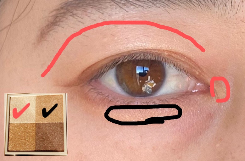 ニュアンス デューイ クリエイター/Visée/アイシャドウパレットを使ったクチコミ(3枚目)