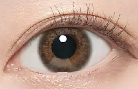 レヴィアブルーライトバリアワンデー ノーブルバリア