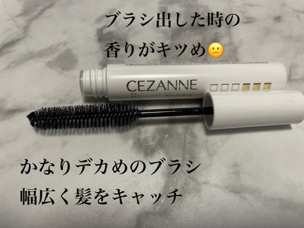 ヘアケアマスカラ/CEZANNE/ヘアジェルを使ったクチコミ(4枚目)