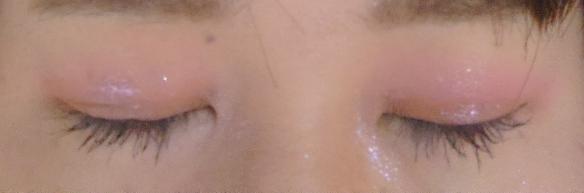 ポンデクルール　mofusand　マルチカラーパウダー うさにゃんC/クレアボーテ/単色アイシャドウを使ったクチコミ（3枚目）