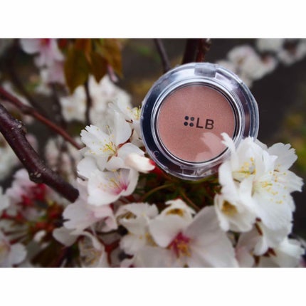 グラムジェリーアイズN/LB/ジェル・クリームアイシャドウを使ったクチコミ(4枚目)