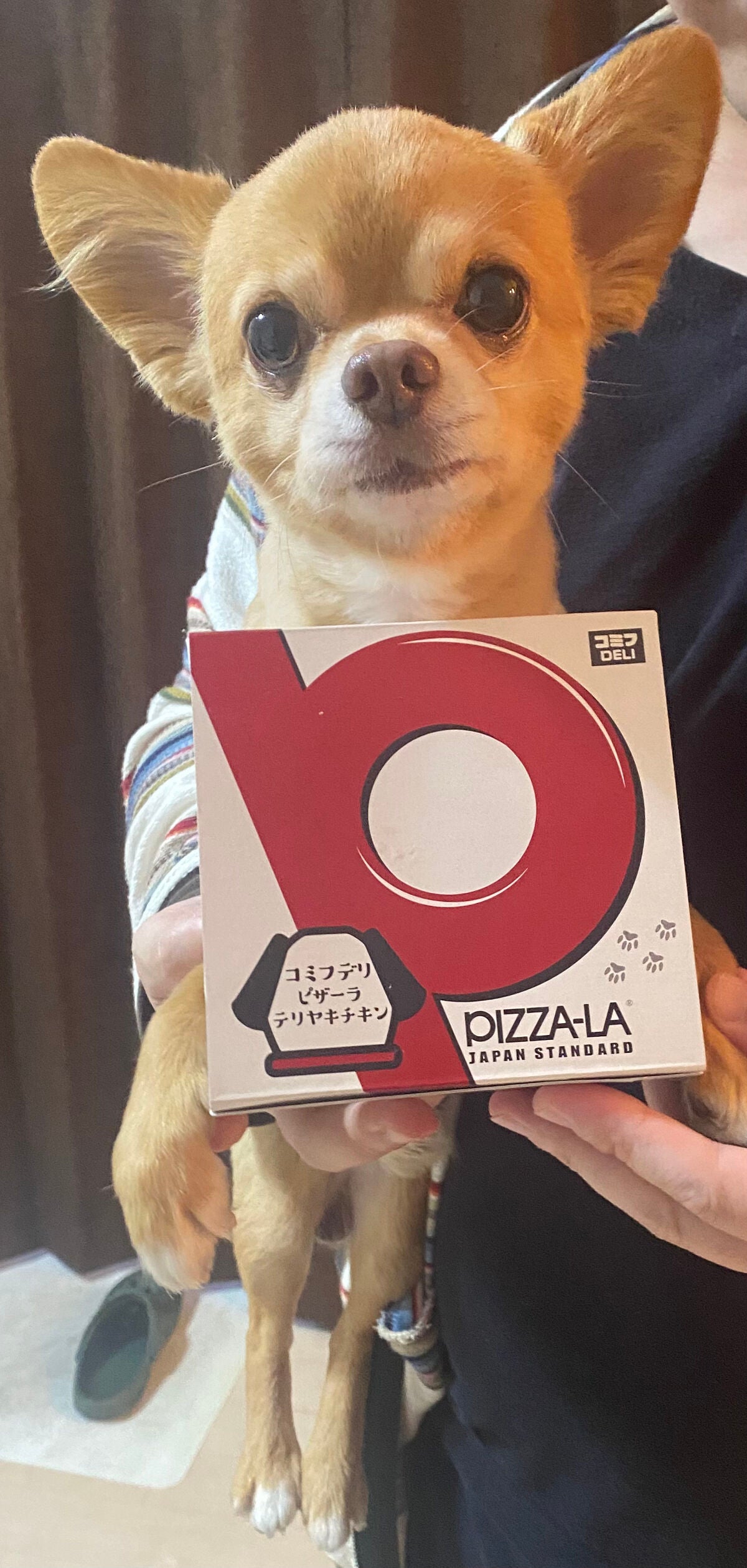 ジルスチュアート イルミネイティング セラムプライマー UV/JILL STUART/化粧下地を使ったクチコミ(7枚目)