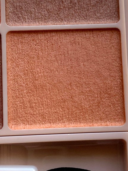 ラスティングマルチアイベース WP/キャンメイク/アイシャドウベースを使ったクチコミ(5枚目)