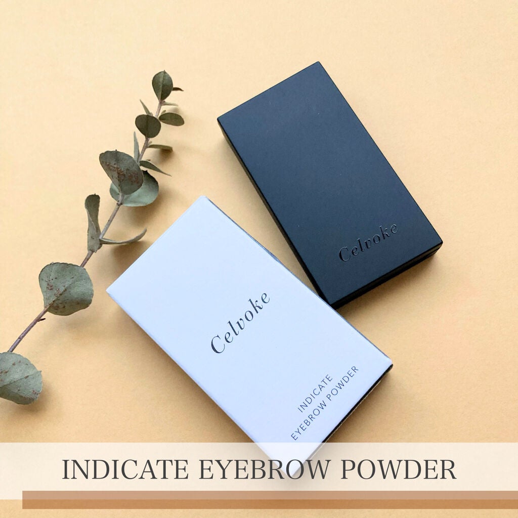 セルヴォーク インディケイトアイブロウパウダー/Celvoke/パウダーアイブロウを使ったクチコミ(1枚目)