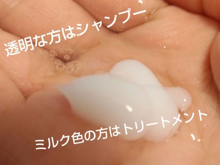 リペア シャンプー/メルティングトリートメント/season free 365/市販シャンプーを使ったクチコミ(3枚目)