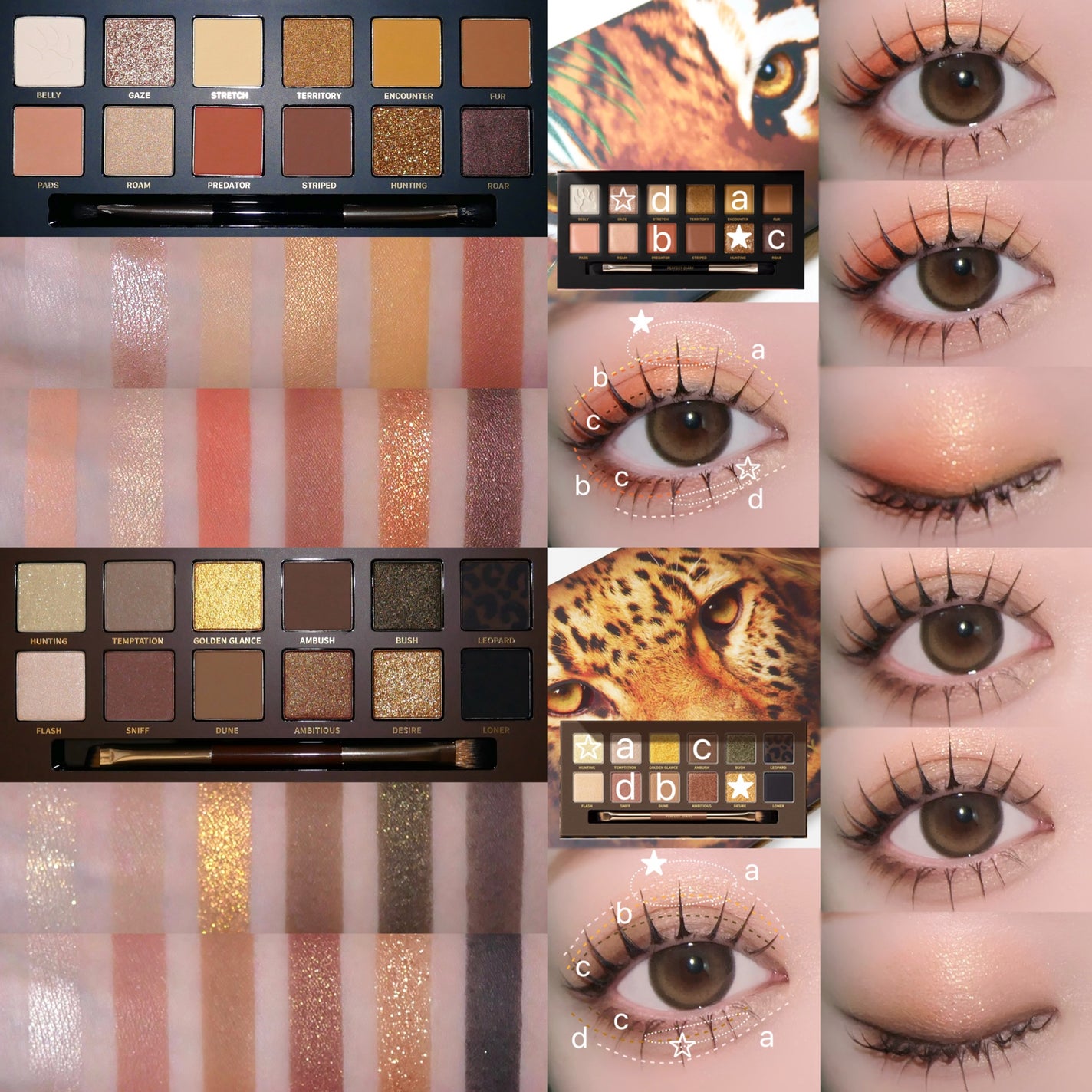 エクスプローラ12色 動物アイシャドウパレット/PERFECT DIARY/アイシャドウパレットを使ったクチコミ(4枚目)