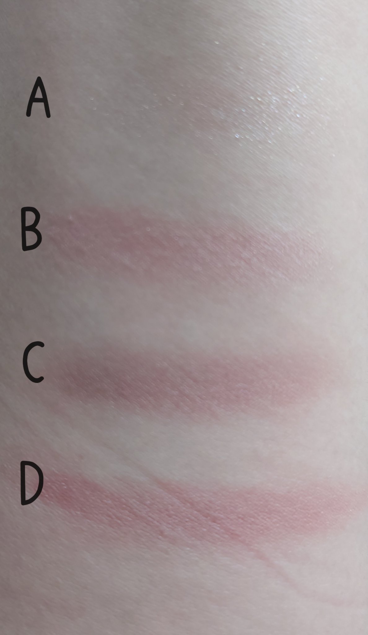 シルキースフレアイズ（マットタイプ）/キャンメイク/アイシャドウパレットを使ったクチコミ（3枚目）