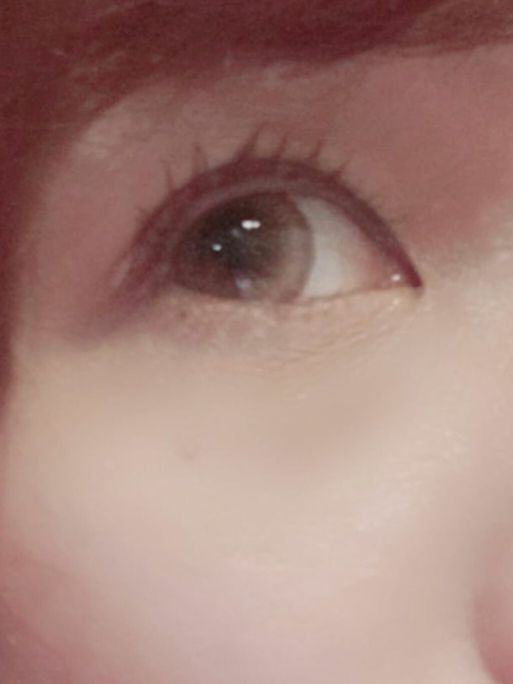 ピンク モーメント インク カラー カラ/PERIPERA/マスカラを使ったクチコミ(4枚目)