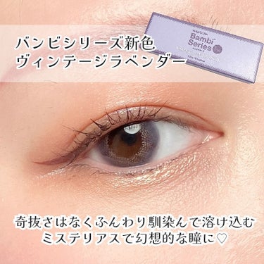 AngelColor Angelcolor Bambi Series Vintage 1dayのクチコミ「馴染み系のラベンダーカラーが可愛い💜
バンビシリーズ新色
ヴィンテージラベンダー🪻


ラベン.....」（3枚目）