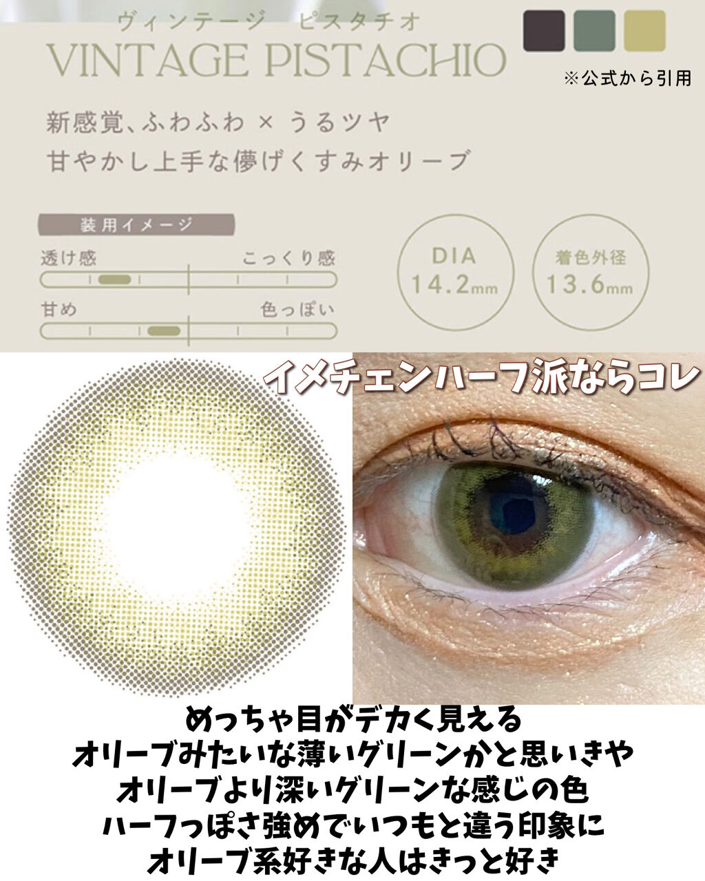 Angelcolor Bambi Series Vintage 1day/AngelColor/ワンデー（１DAY）カラコンを使ったクチコミ（3枚目）