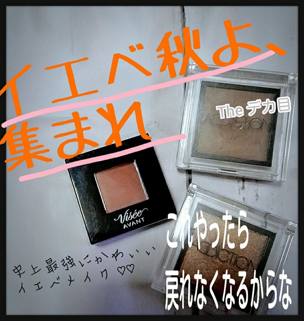 アディクション ザ アイシャドウ/ADDICTION/単色アイシャドウを使ったクチコミ（1枚目）