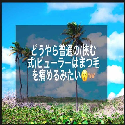 Me-up ホットビューラー TL325/テスコム/ホットビューラーを使ったクチコミ(1枚目)