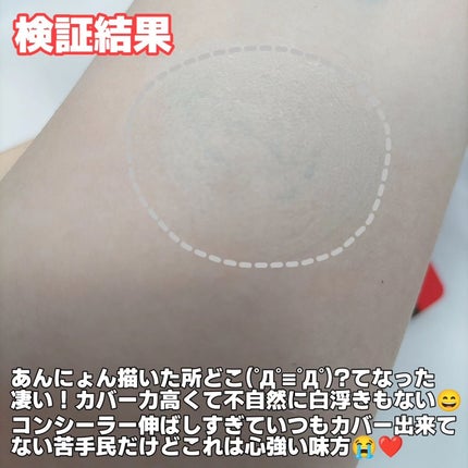 カバーアッププロコンシーラー クール スペシャルセット(コンシーラー15g+ブラシ)/TFIT/パレットコンシーラーの画像