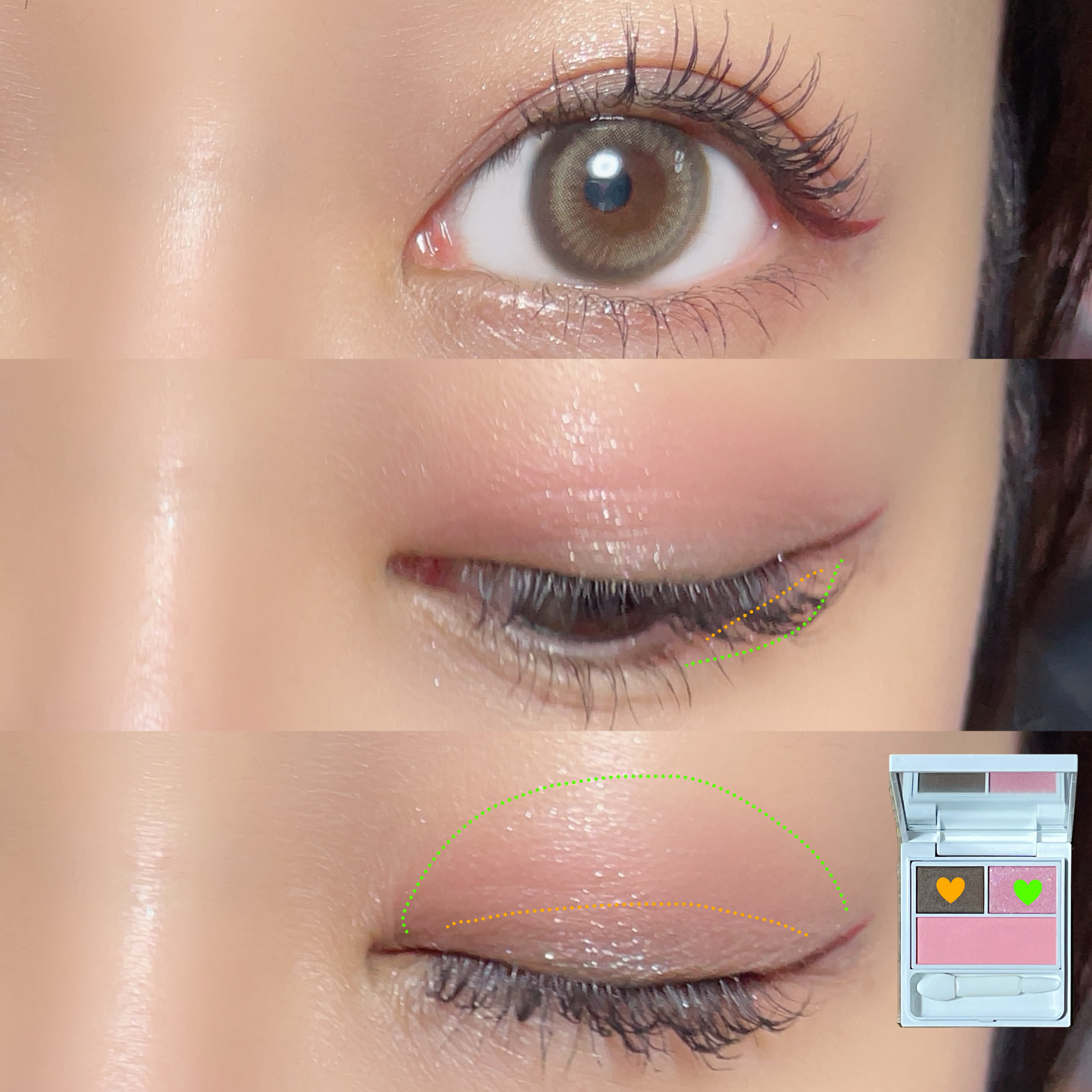 フェイスカラーパレットEX/チャコット・コスメティクス/アイシャドウパレットを使ったクチコミ（2枚目）