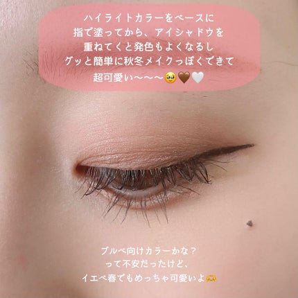 THE アイパレR/b idol/アイシャドウパレットを使ったクチコミ(4枚目)