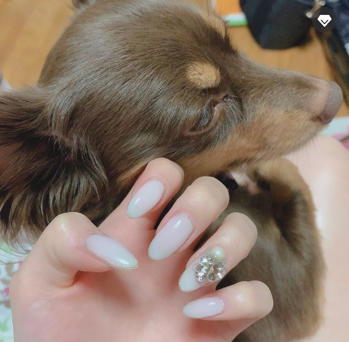 nami on LIPS 「#ネイル記録#ジェルネイル#💅🏻💗..」(1枚目)