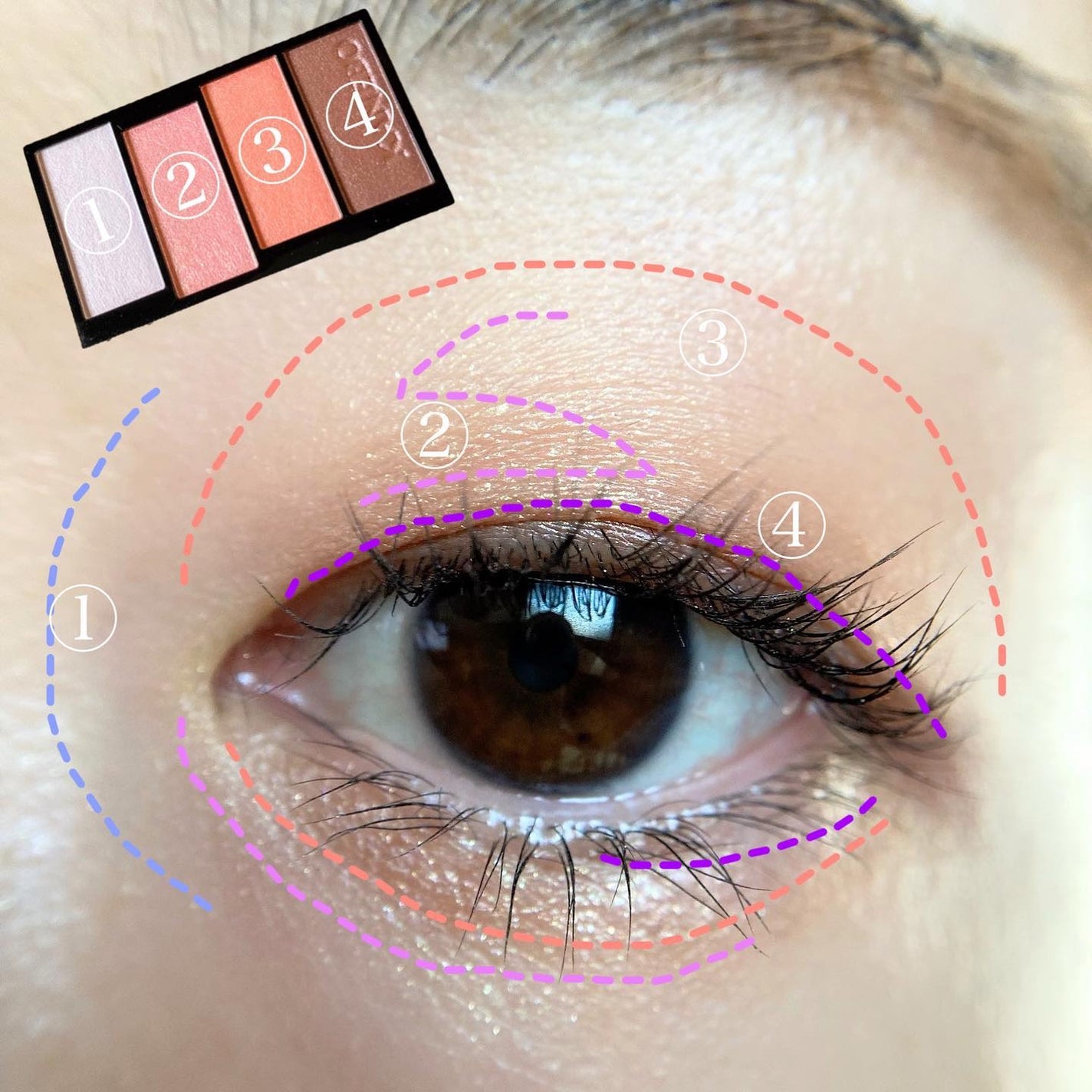 カラードシャドウ/KANEBO/アイシャドウパレットを使ったクチコミ(6枚目)