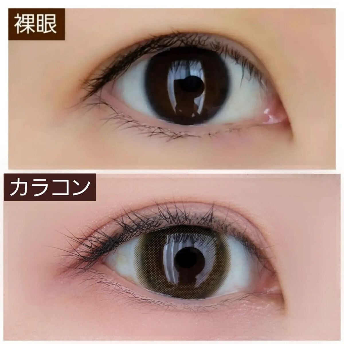 ネオサイトワンデー シエルUV/Aire/ワンデー(1DAY)カラコンを使ったクチコミ(3枚目)