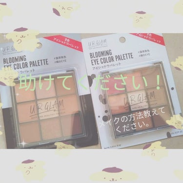 UR GLAM　BLOOMING EYE COLOR PALETTE/U R GLAM/アイシャドウパレットを使ったクチコミ（1枚目）