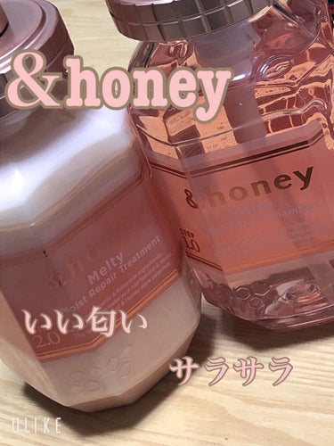 &honey Melty モイストリペア シャンプー1.0／モイストリペア ヘアトリートメント2.0/&honey/シャンプー・コンディショナーを使ったクチコミ（1枚目）