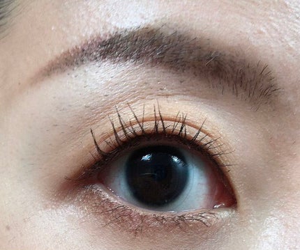 ヴォランタリーベイシス アイパレット/Celvoke/アイシャドウパレットを使ったクチコミ(3枚目)