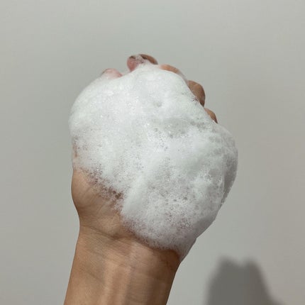 プルント ディープリペアペアセット アールグレイ N/Purunt./市販シャンプーを使ったクチコミ(5枚目)