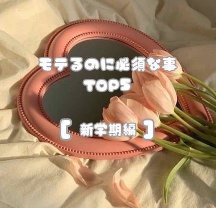 bi-hada ompa L ホルダー替刃2個付/貝印/シェーバーを使ったクチコミ(1枚目)