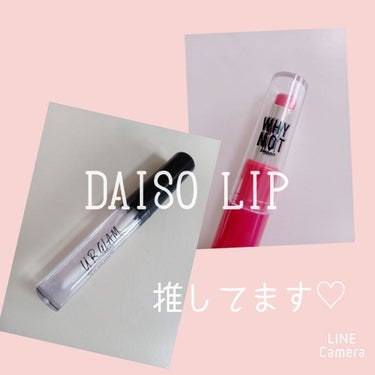 WHY NOT SPINNS リップスティック/DAISO/口紅を使ったクチコミ（1枚目）