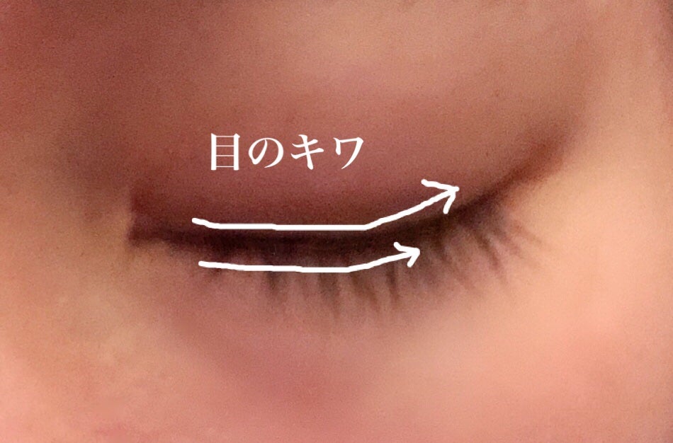 エグータム/アルマダスタイル/まつげ美容液を使ったクチコミ(5枚目)