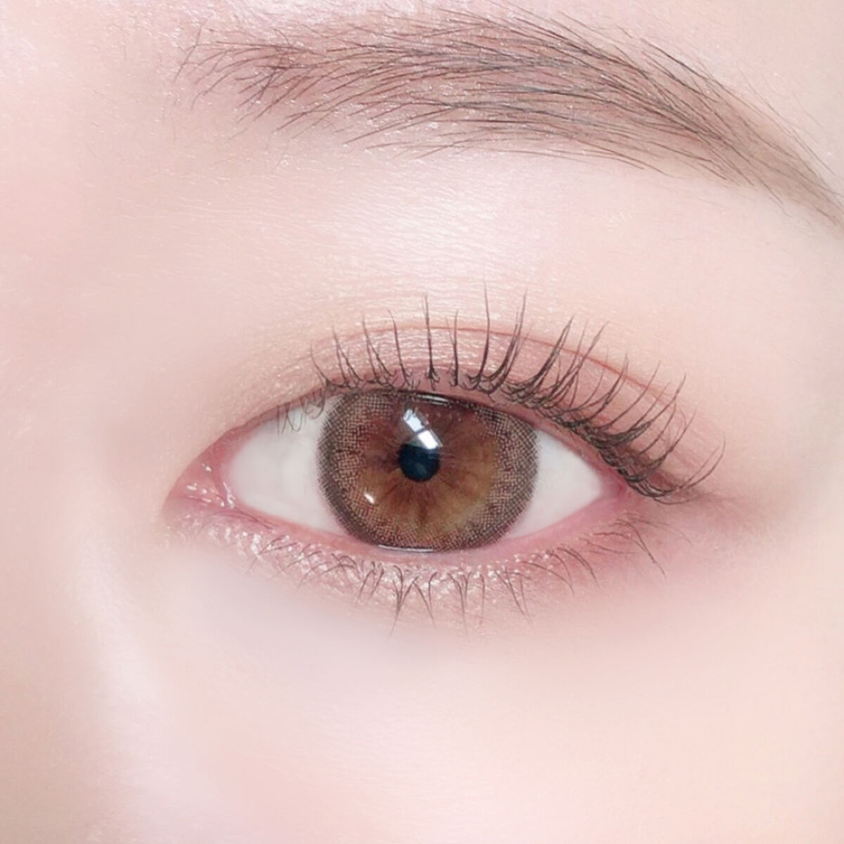 ビュームワンデー シナモンヌード