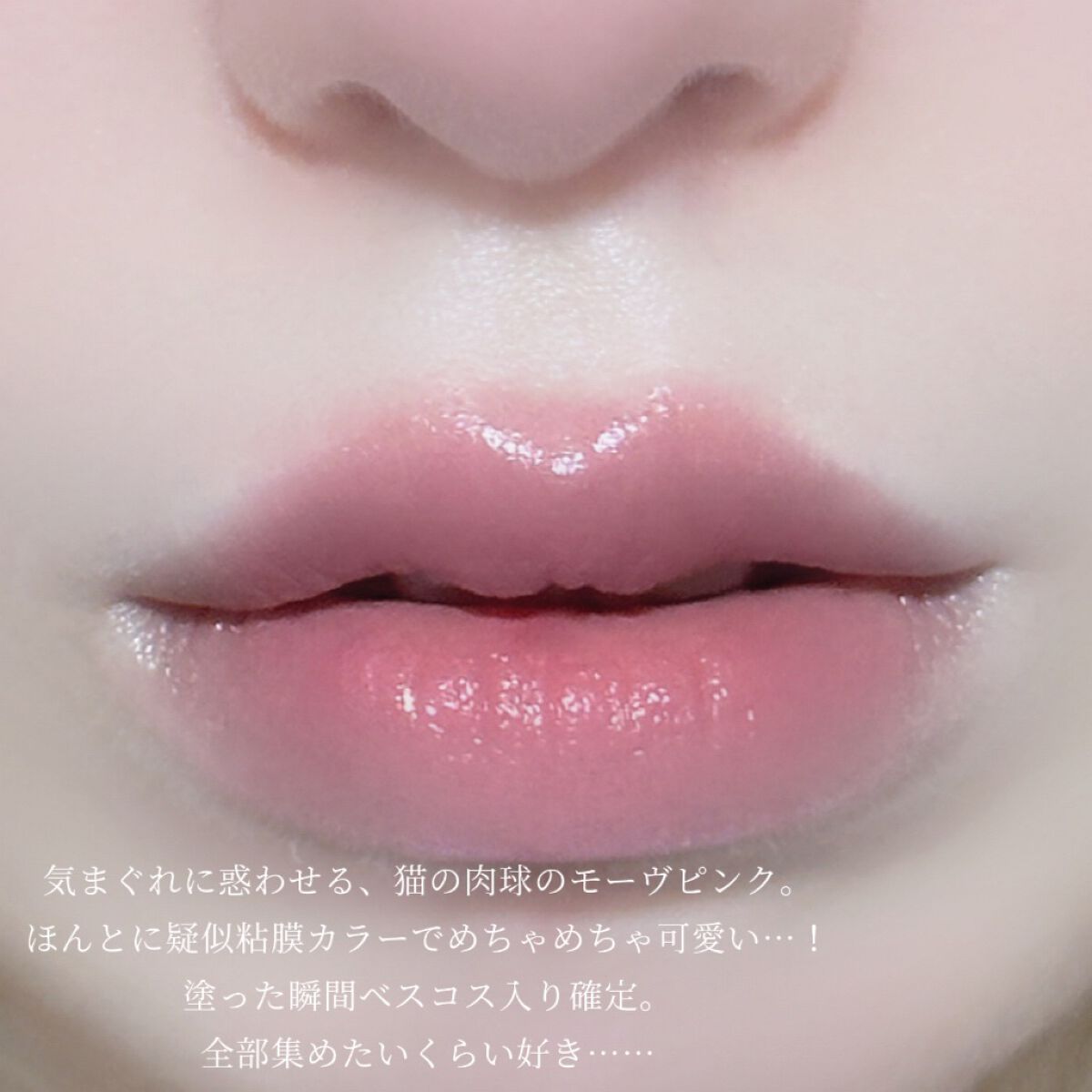 ネンマクフェイク ルージュ/Visée/口紅を使ったクチコミ(3枚目)