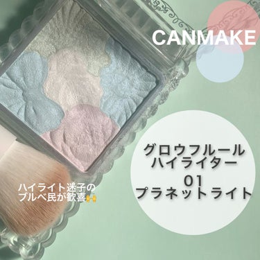 ミントチョコ on LIPS 「ハイライト迷子のブルベ夏のわたし💦ネットの口コミを参考に買って..」（1枚目）