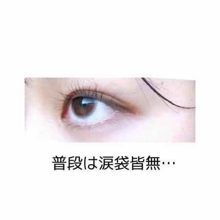 【旧品】パーフェクトスタイリストアイズ/キャンメイク/アイシャドウパレットを使ったクチコミ(2枚目)