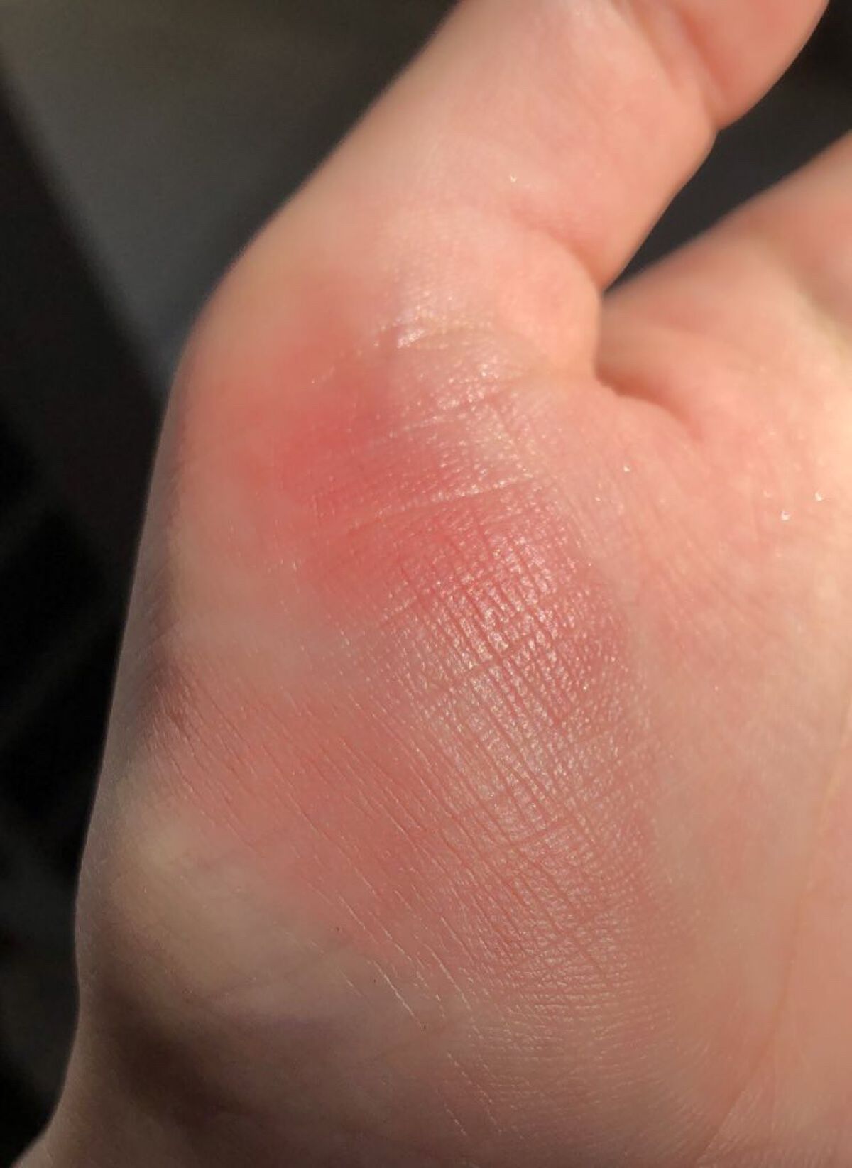 クリームチーク（マットタイプ）/キャンメイク/ジェル・クリームチークを使ったクチコミ（3枚目）