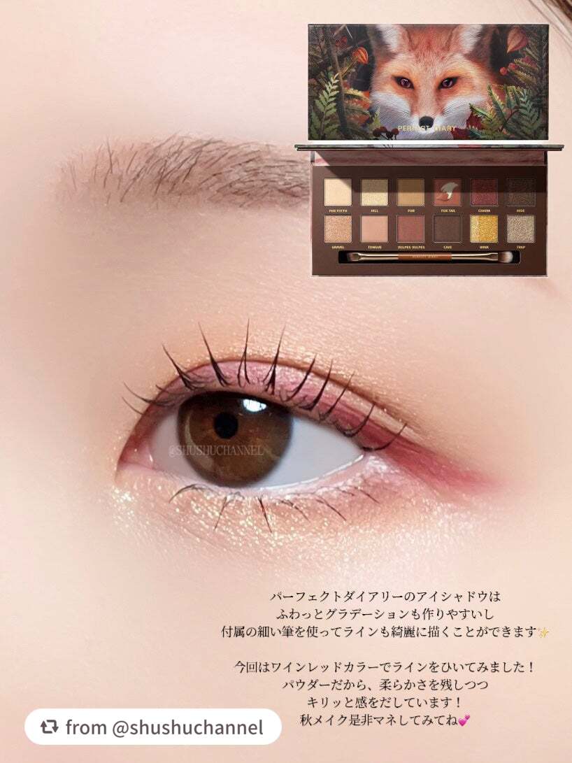 エクスプローラ12色 動物アイシャドウパレット/PERFECT DIARY/アイシャドウパレットを使ったクチコミ(6枚目)